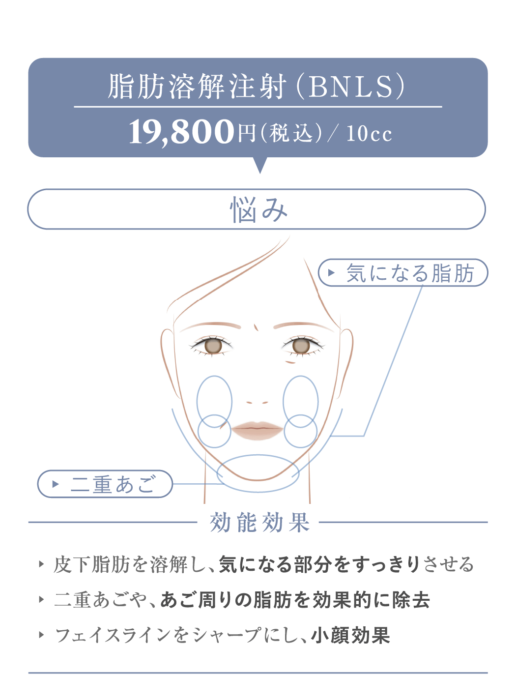 脂肪溶解注射（BNLS） 19,800円(税込)/本
